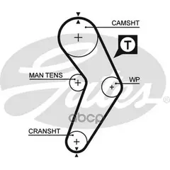 Ремень ГРМ 095SP170H RENAULT Megane (BA0/1_)Megane Cabriolet (EA0/1_)Megane Classic (LA0/1_)Megane C