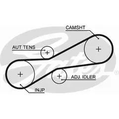 Ремень привода ТНВД (z 81) VW Caravelle/LT 28-46/T4/VOLVO 850/S70/S80 2.5TDi/SDi 95->