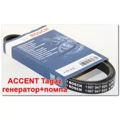 Ремень 1 ШТ генератора + помпа Accent Tagaz Хендай Акцент Тагаз Rio 2 Рио 2 2006-2011 кондиционера Sportage 2 Tucson 4PK850 Bosch 1987947895