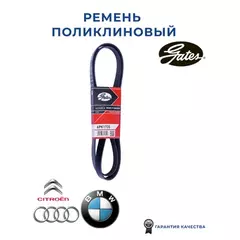 Ремень поликлиновой Alfa Romeo 159 / Audi A3 / BMW E36/E46/Z3 / Citroen C5/Evasion/Xantia/Xsara / Ford Fiesta / Mazda 121 / Peugeot 206 / Skoda Octavia/Roomster / VW