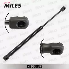 Амортизатор крышки багажника RENAULT DUSTER (Lesjofors 81 170 02) CB00052