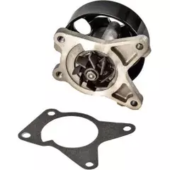 Насос водяной NISSAN/RENAULT X-TRAIL T31/Qashqai/CLIO/FLUENCE/LAGUNA/LATITUDE/SCENIC 06- 2.0