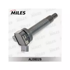 Катушка зажигания TOYOTA/LEXUS 4.3/4.7 (BERU ZSE172) AL08026