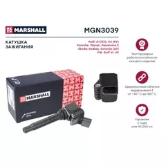 Катушка зажигания Audi A3 (8V) 12-, Porsche Panamera II 16-, Skoda Octavia (A7) 13-, VW Golf VI, VII 13- ()
