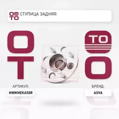СТУПИЦА ЗАДНЯЯ (ASVA)