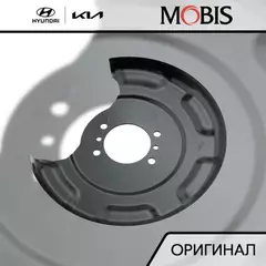 583901R100 ЗАЩИТНЫЙ КОЖУХ ТОРМОЗНОГО МЕХАНИЗМА, СПОСОБ ИЗГОТОВЛЕНИЯ КОМБИНИРОВАНН