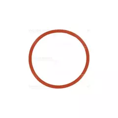 Прокладка впускного коллектора BMW 3 (E46,E92),5 (E60,E61) 717754600 (1шт)