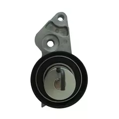 НАТЯЖИТЕЛЬ РЕМНЯ ГРМ FORD FOCUS II 1 4 1 6 AG01002