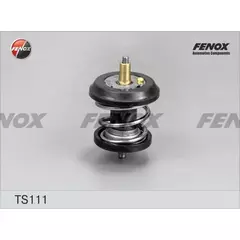 Термостат ( 95 c) с уплотнительным кольцом Fenox TS111 - FENOX арт. TS111