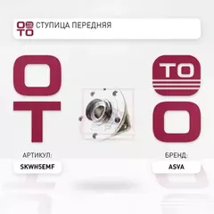 СТУПИЦА ПЕРЕДНЯЯ