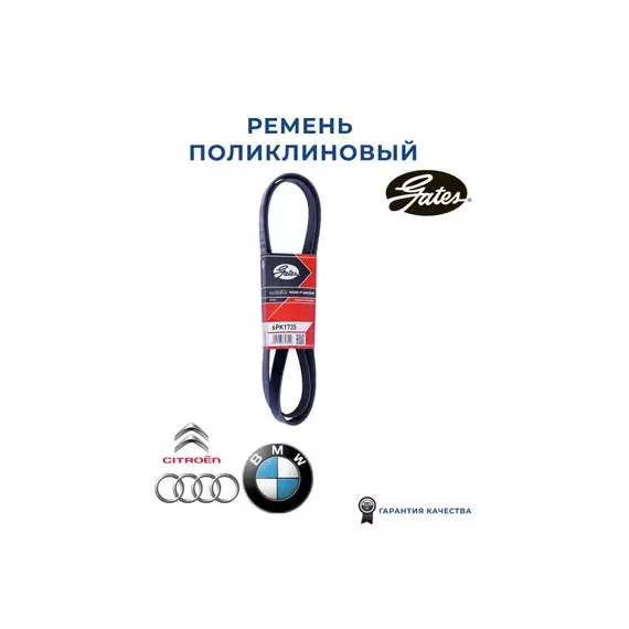 Ремень поликлиновой Alfa Romeo 159 / Audi A3 / BMW E36/E46/Z3 / Citroen C5/Evasion/Xantia/Xsara / Ford Fiesta / Mazda 121 / Peugeot 206 / Skoda Octavia/Roomster / VW
