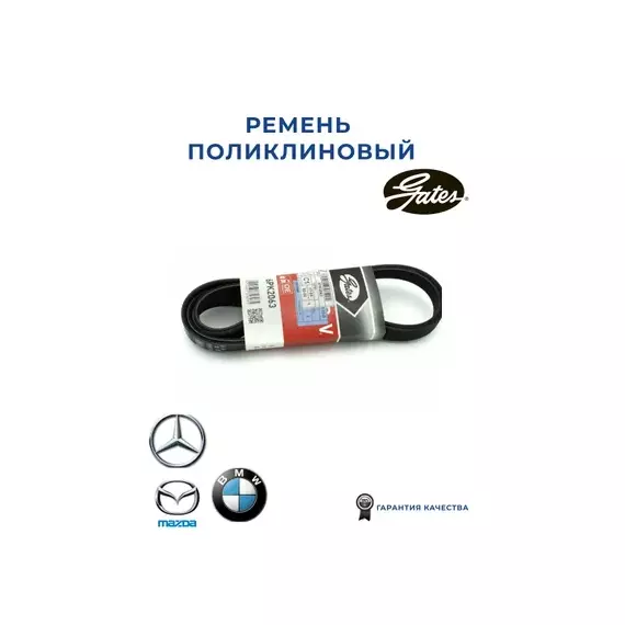 8653-10442 // Поликлиновый ремень привода вспомогательных агрегатов - длина 2063 мм