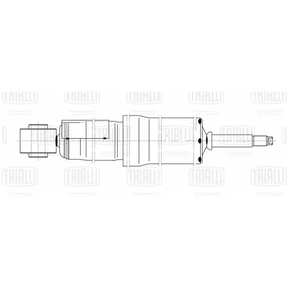 Амортизатор задний L-R TOYOTA Land Cruiser 200 2007- TRIALLI AG 19521 для TOYOTA Land Cruiser 200 2007-