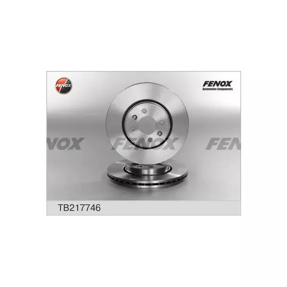 Диск тормозной Renault Clio 00-, Kangoo 01-07, Laguna 93-01, Megane 92-08, Scenic 99-09, Twingo 07-, FENOX TB217746
