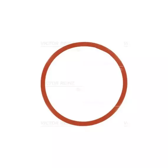 Прокладка впускного коллектора BMW 3 (E46,E92),5 (E60,E61) 717754600 (1шт)