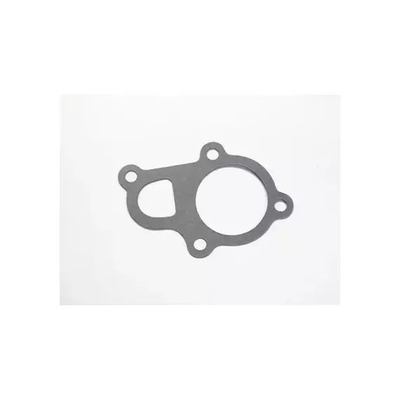 Прокладка термостата Hyundai Elantra 00-, Accent 94-99 DOHC Kia Rio 05-11