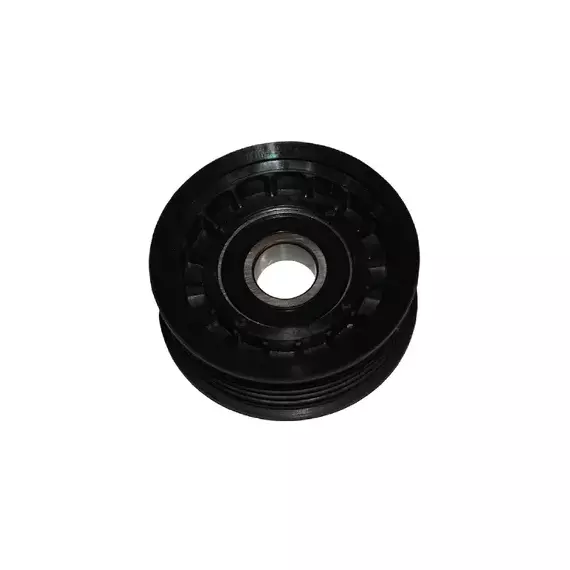 Ролик ремня приводного FORD FOCUS II ПОДХОДИТ ДЛЯ VOLVO C30 S40 1.8-2.0 (INA 532064910)