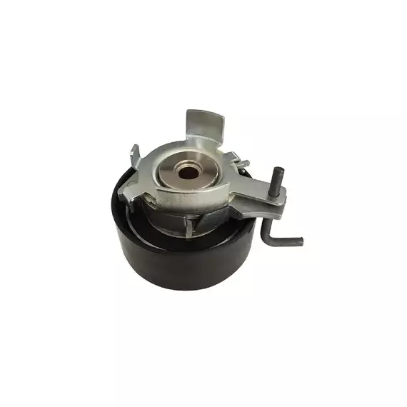 Ролик ремня ГРМ FORD FOCUS/MONDEO/ VOLVO S60/S80 1.6 10- (INA 531087710) AG02208