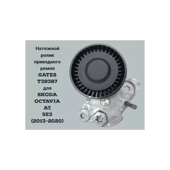 04E145299E Ролик натяжной! VW UP/Polo 1.0i 09>/Golf VII/Jetta 1.6i 08>