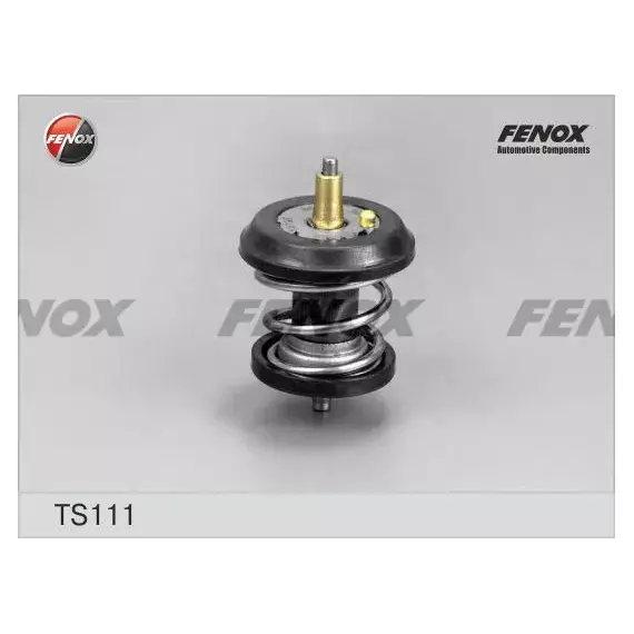 Термостат ( 95 c) с уплотнительным кольцом Fenox TS111 - FENOX арт. TS111